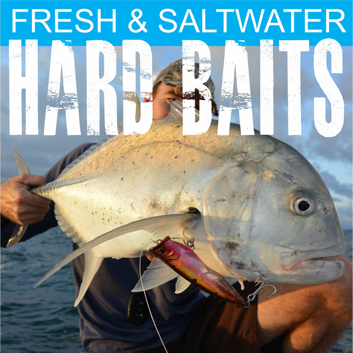 Hard Baits – Fish Inc Lures INTL