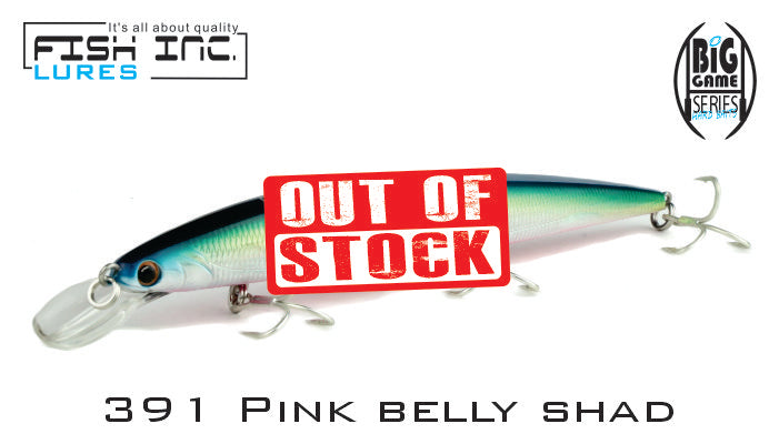 Lock 160mm Suspending Jerkbait